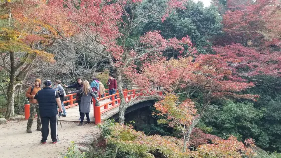 Momijidani Park (Miyajima), photo 4