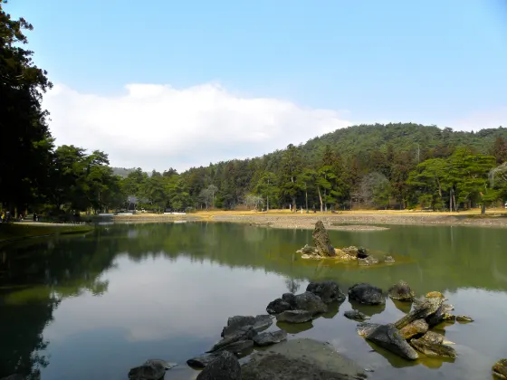 Motsu-ji Temple Iris Garden, photo 2
