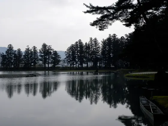 Motsu-ji Temple Iris Garden, photo 3