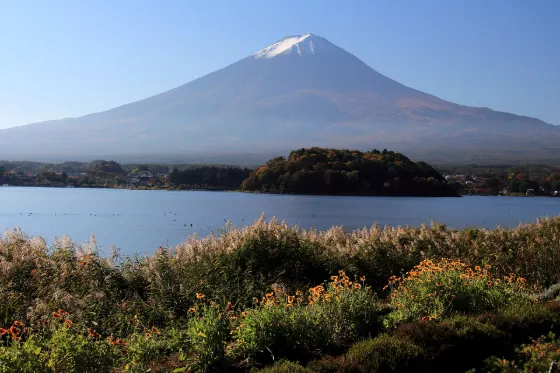 Oishi Park, photo 2
