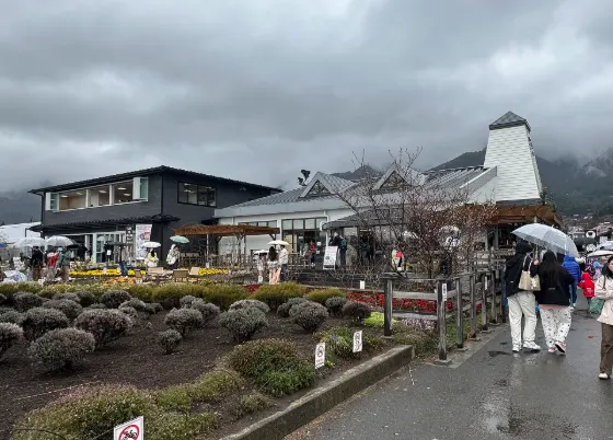 Oishi Park, photo 3