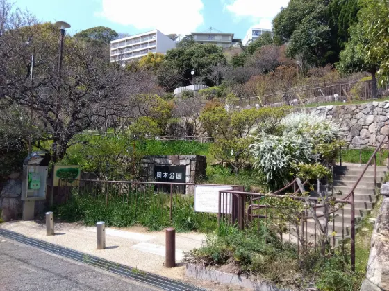 Okamoto Plum Grove Park, photo 2