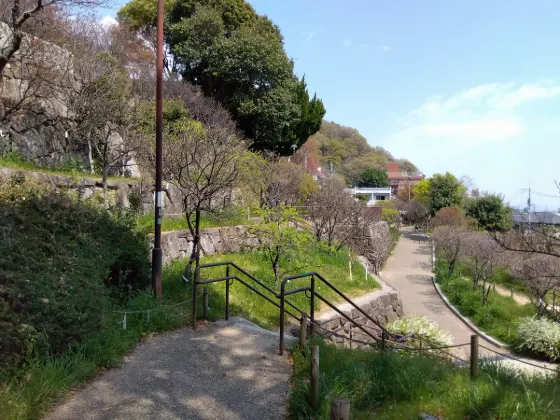Okamoto Plum Grove Park, photo 3