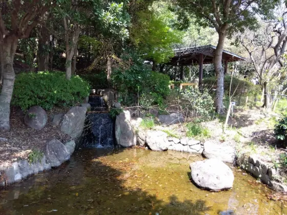 Okamoto Plum Grove Park, photo 4
