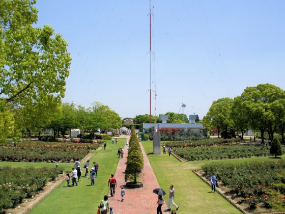 RSK Rose Garden (Okayama), photo 2