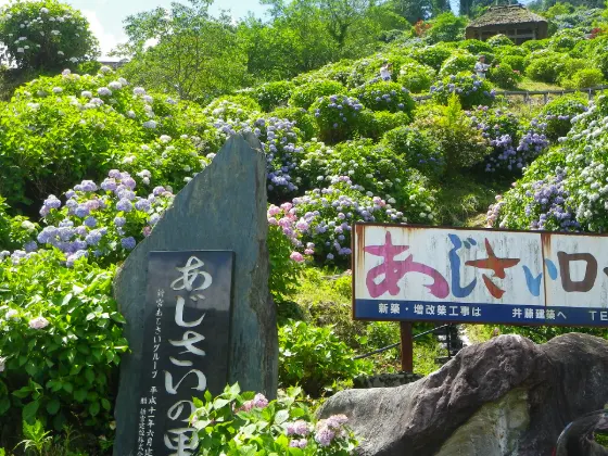 Shingu Hydrangea Village, photo 2
