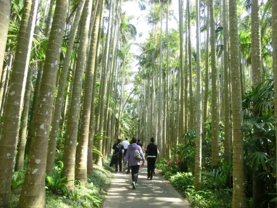 Southeast Botanical Gardens (Okinawa), photo 3