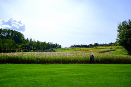 Takino Suzuran Hillside Park, photo 4