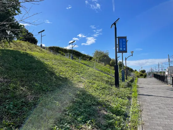 Toneri Park, photo 4