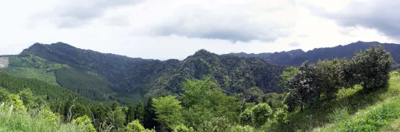 Tsubakiyama Forest Park, photo 2