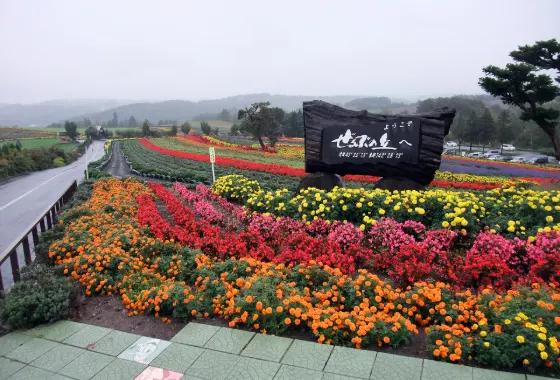 Zerubu Hill, photo 2