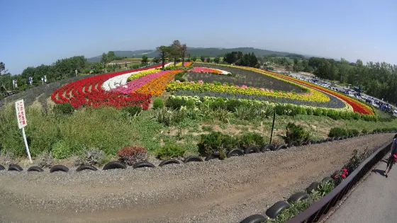 Zerubu Hill, photo 3