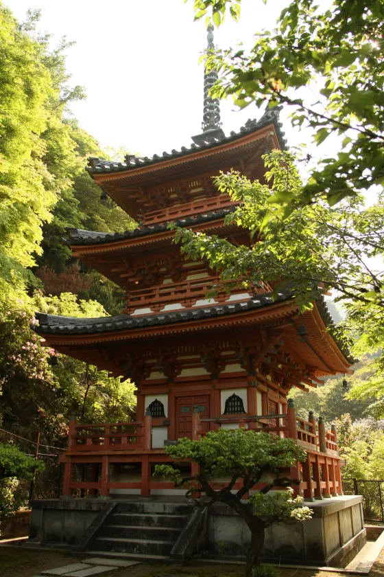 Mimuroto-ji Temple, photo 4