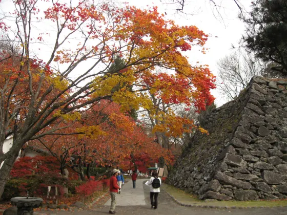 Komoro Castle Ruins Kaikoen, photo 2