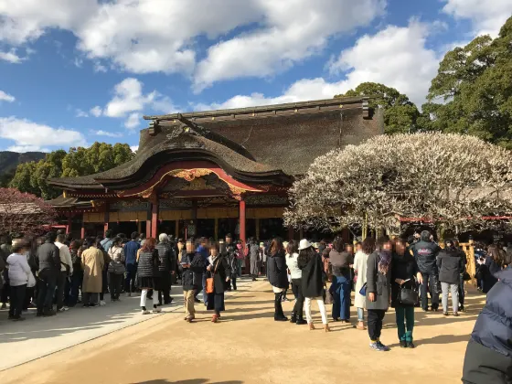 Dazaifu Tenmangu Shrine, photo 2