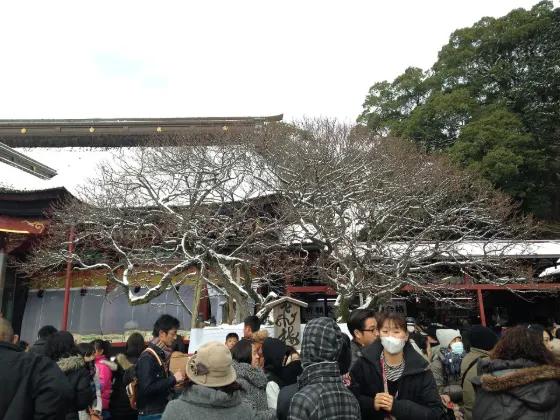 Dazaifu Tenmangu Shrine, photo 4