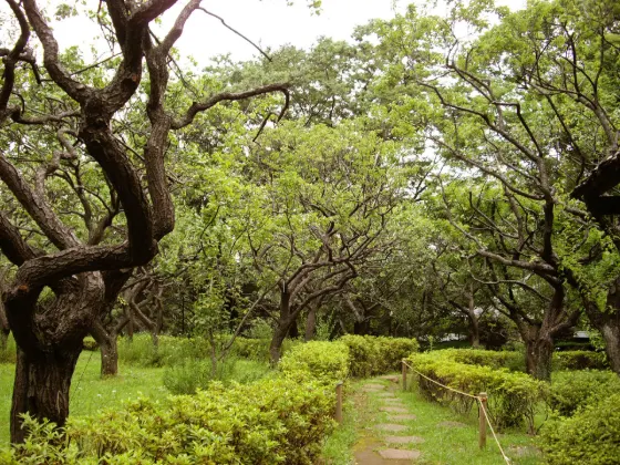 Hanegi Park, photo 2