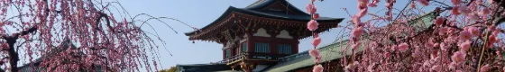 Hofu Tenmangu Shrine, photo 3