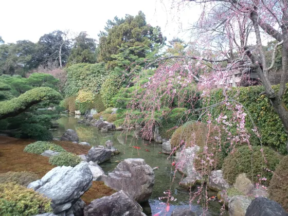 Jonangu Shrine, photo 2