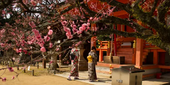 Kitano Tenmangu Shrine, photo 2