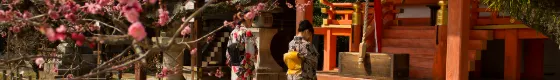 Kitano Tenmangu Shrine, photo 3