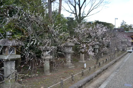 Kitano Tenmangu Shrine, photo 4