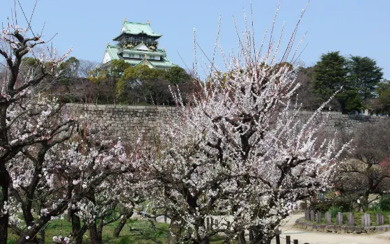 Osaka Castle Plum Grove, photo 4