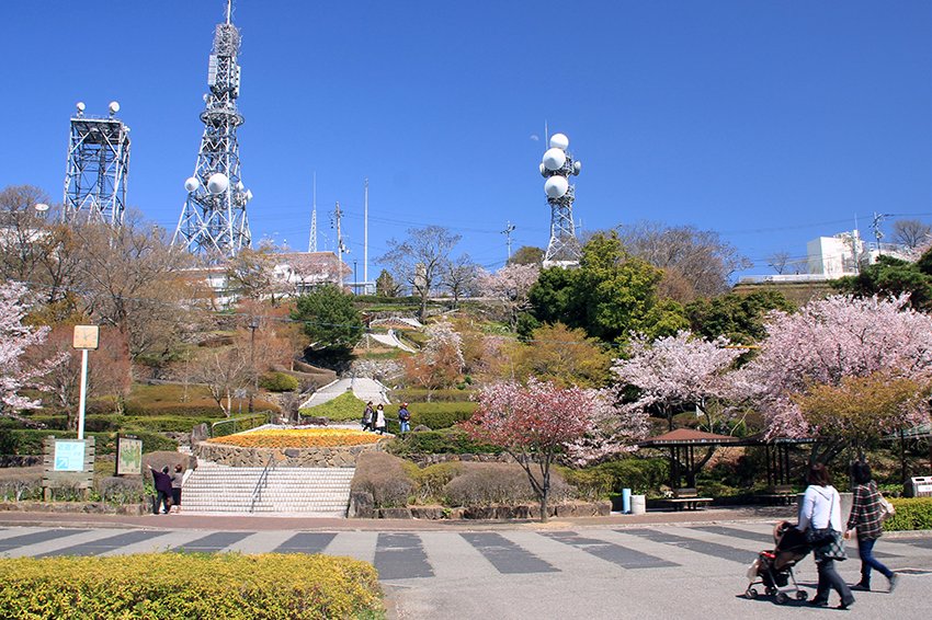 Cherry blossom at Bizan Park (Tokushima), Bizan-cho, Tokushima City, Tokushima