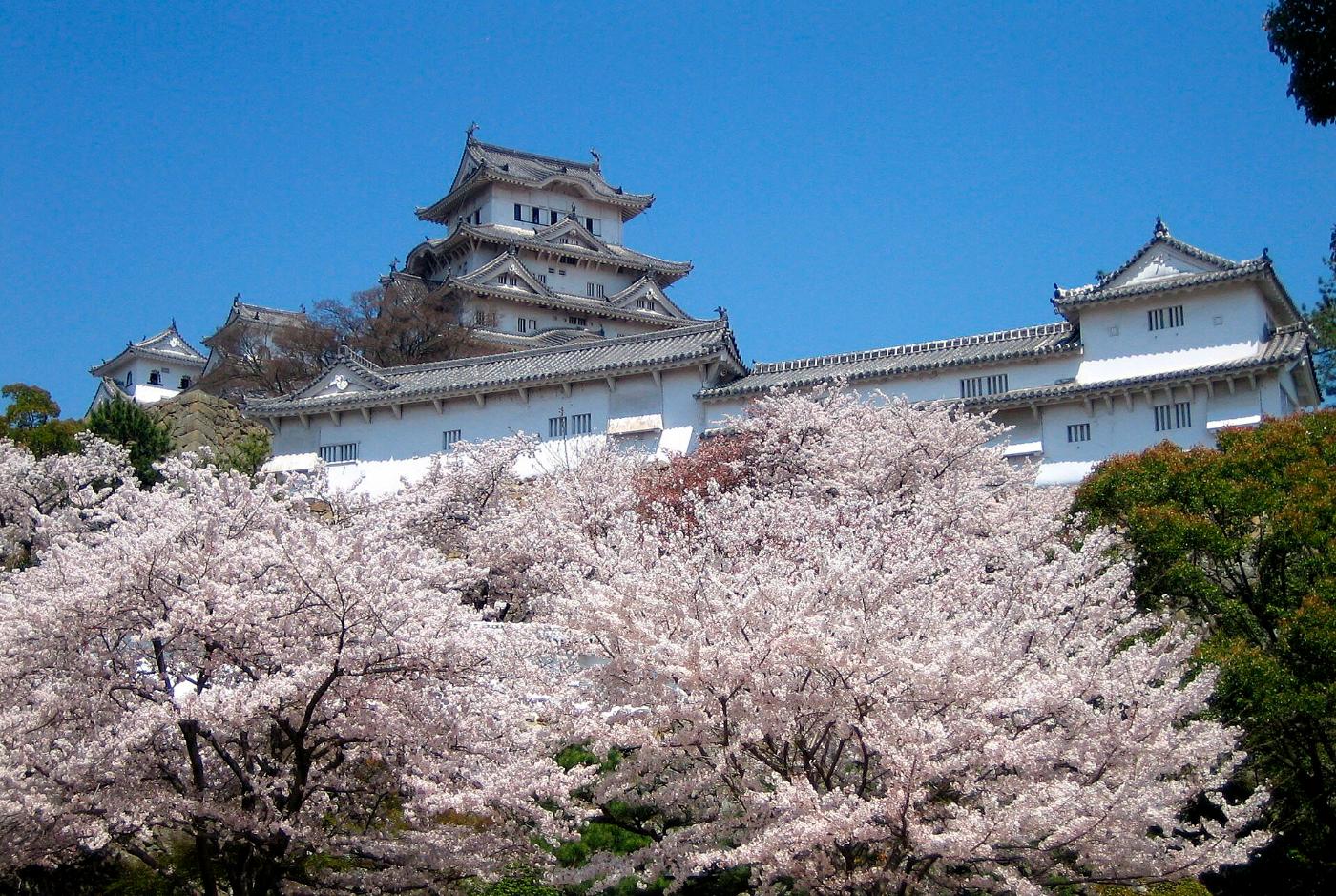 Cherry blossom at Himeji Castle, 68 Honmachi, Himeji, Hyogo