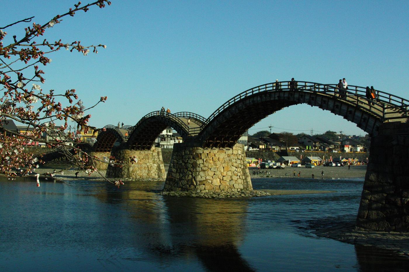 Cherry blossom at Kintaikyo Bridge (Kikko Park), Yokoyama, Iwakuni, Yamaguchi