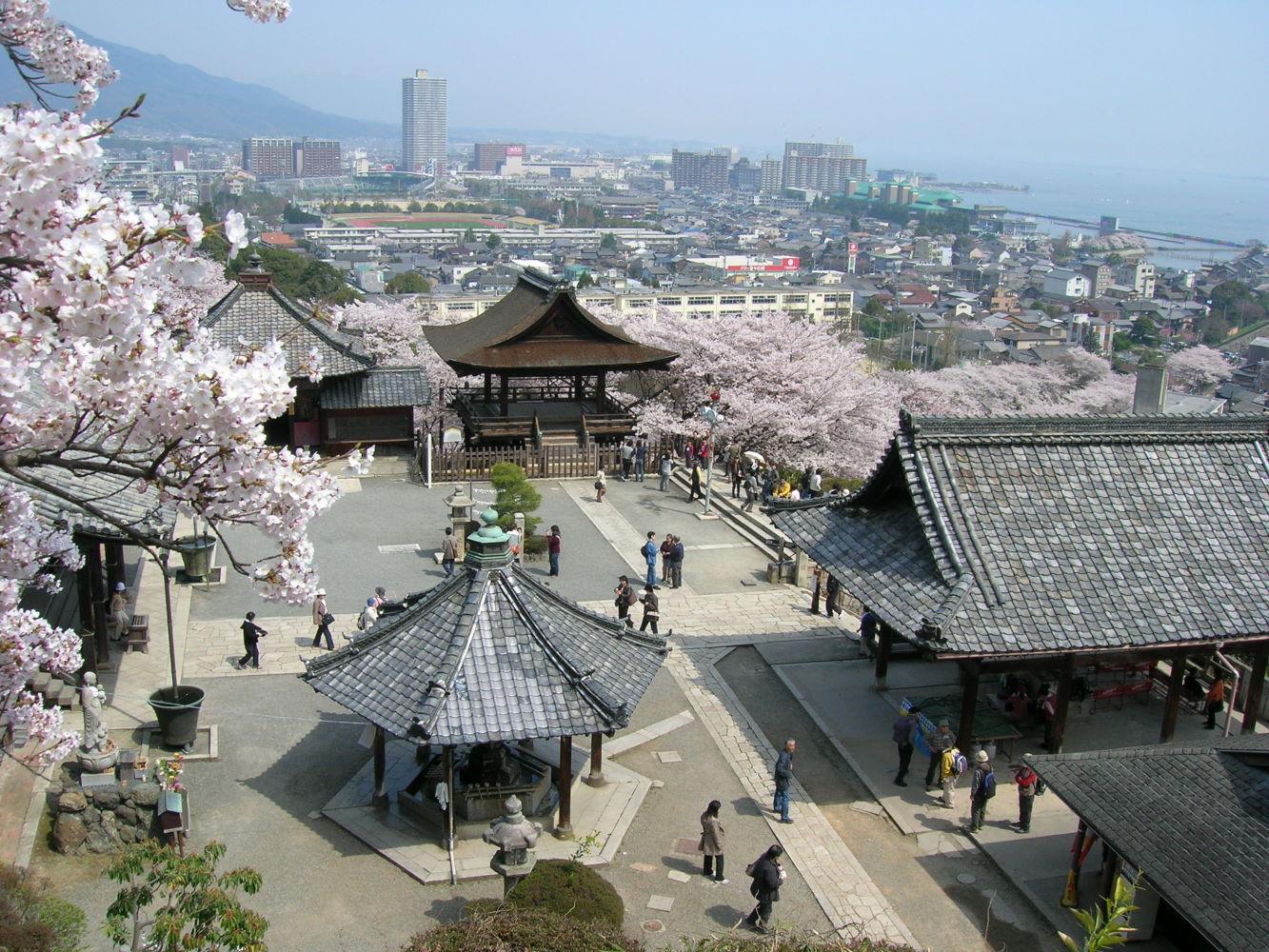 Cherry blossom at Mii-dera Temple, 246 Onjojicho, Otsu, Shiga