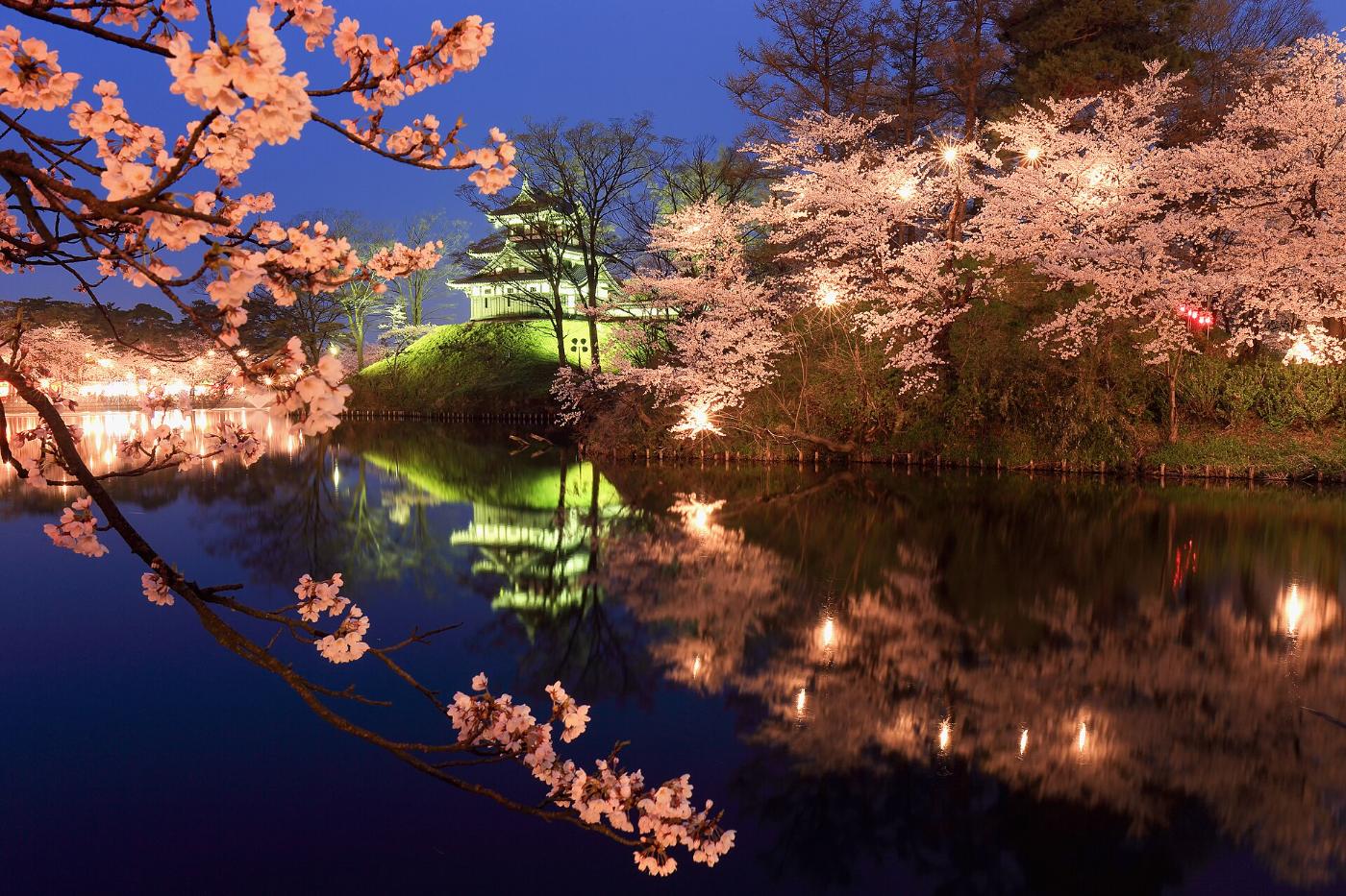 Cherry blossom at Takada Castle Ruins Park, 44-1 Motoshirocho, Joetsu, Niigata