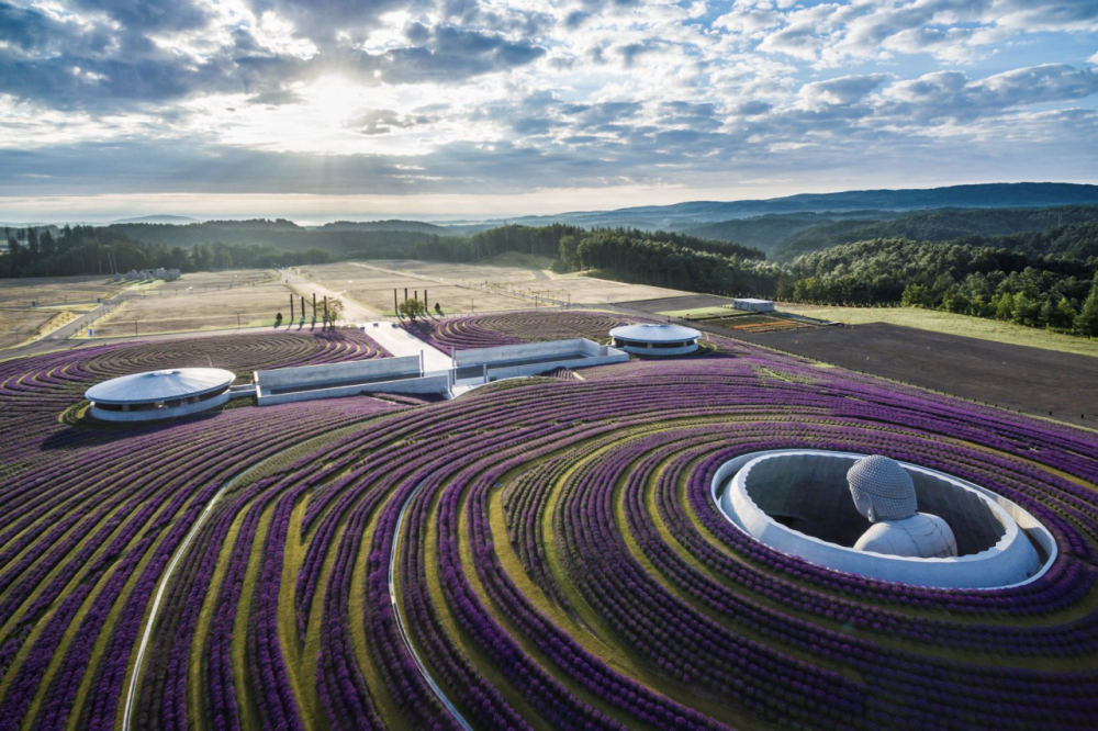 Lavender at Hill of the Buddha, 2 Takino, Minami Ward, Sapporo, Hokkaido