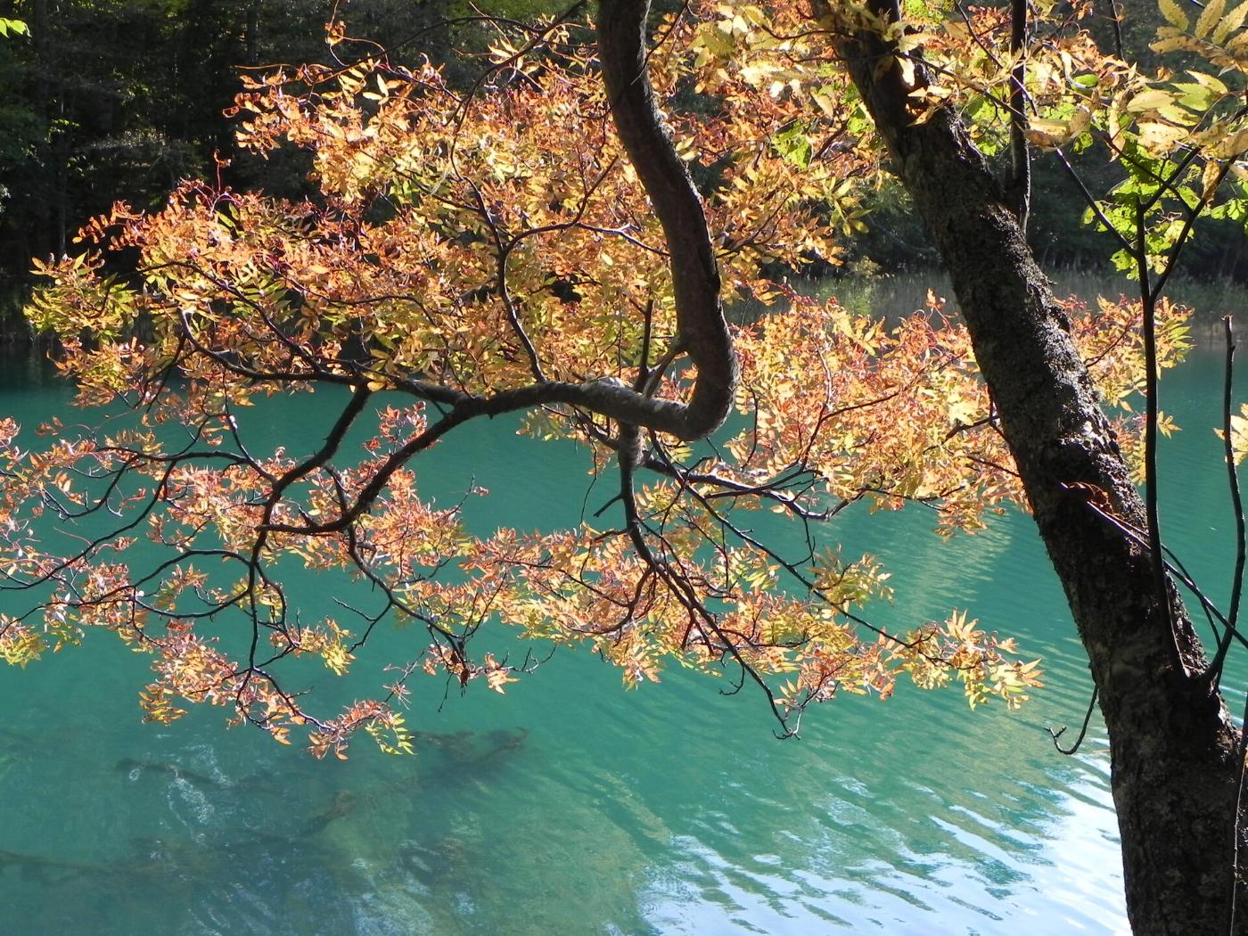 Autumn leaves at Lake Onneto, Ashoro, Ashoro District, Hokkaido