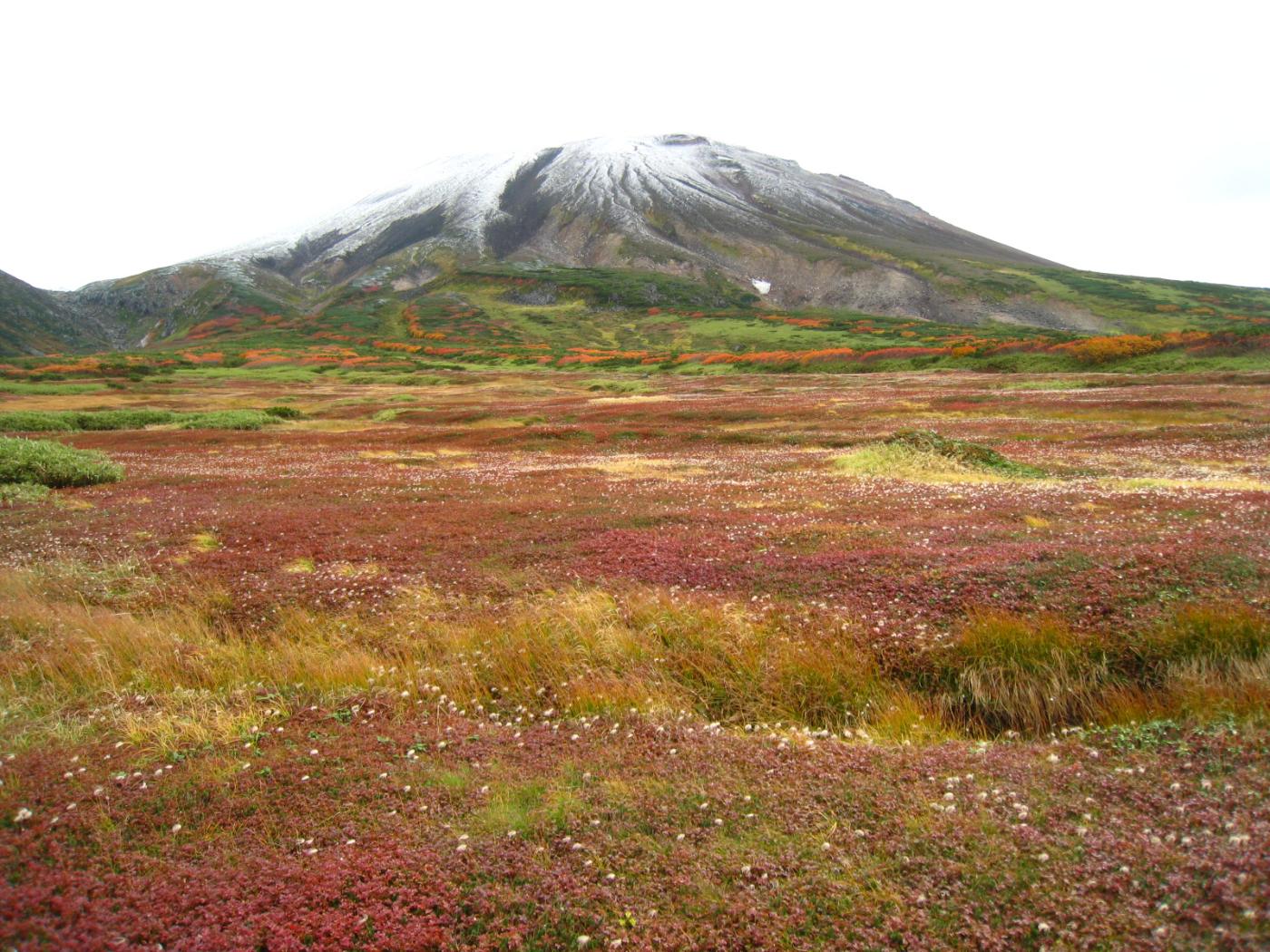 Autumn leaves at Mount Asahidake, Asahidake Onsen, Higashikawa, Hokkaido