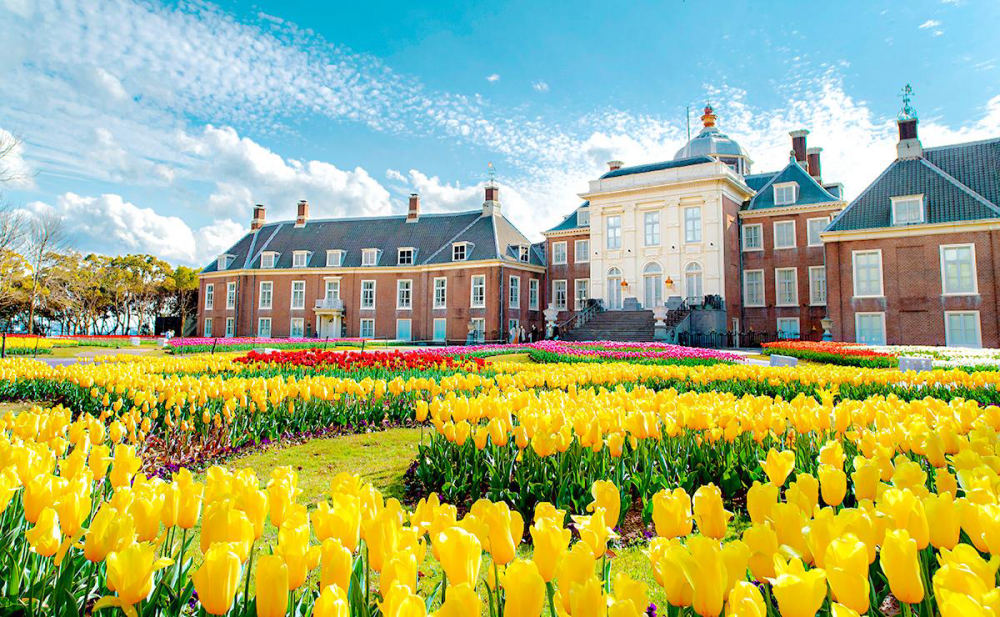 Tulips at Huis Ten Bosch (Nagasaki), 1-1 Huis Ten Bosch Machi, Sasebo, Nagasaki