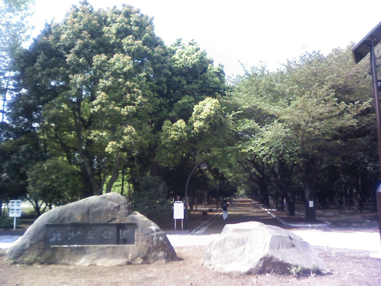 Kinmokusei at Hikarigaoka Park Kinmokusei, 4-1-1 Hikarigaoka, Nerima, Tokyo