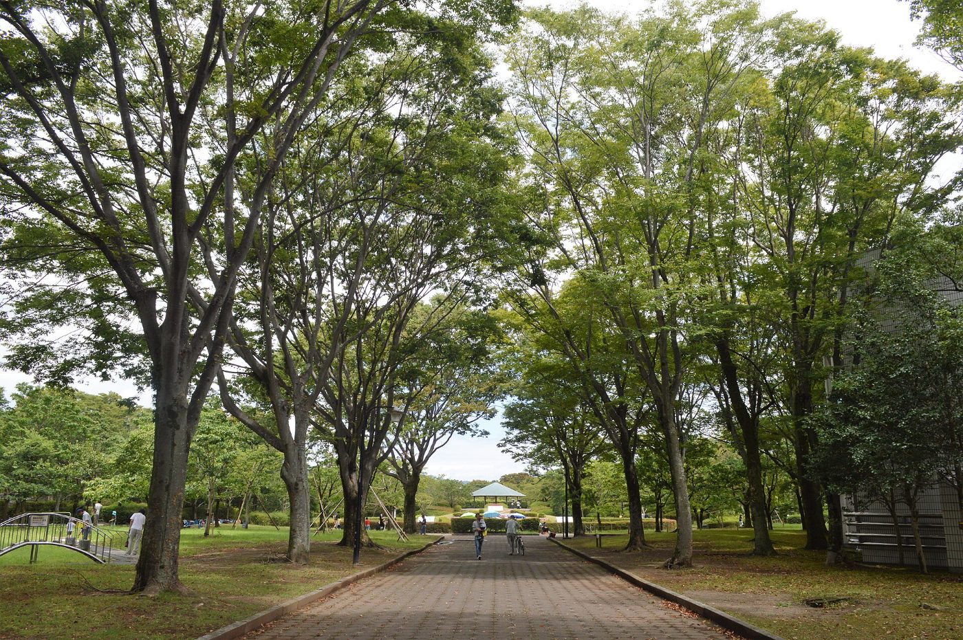 Kinmokusei at Johoku Park Kinmokusei, 29 Oiwa-honcho, Aoi Ward, Shizuoka, Shizuoka