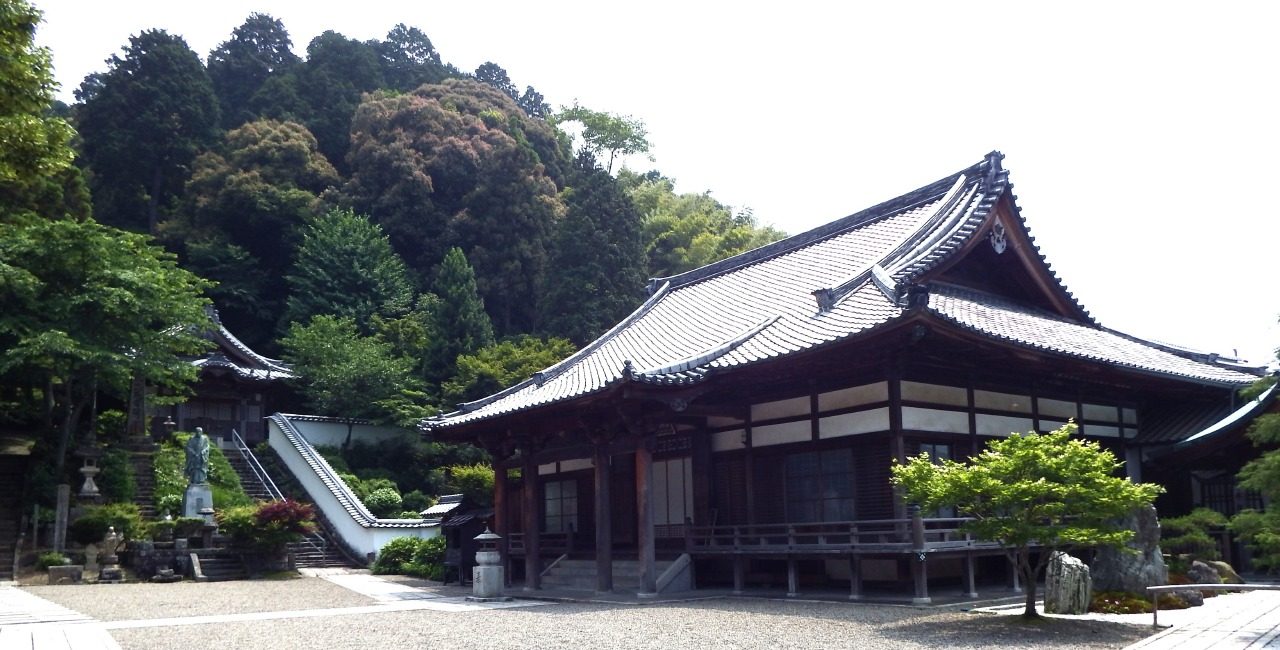 Kinmokusei at Oshimori-ji Temple Kinmokusei, Iioka, Saijo, Ehime