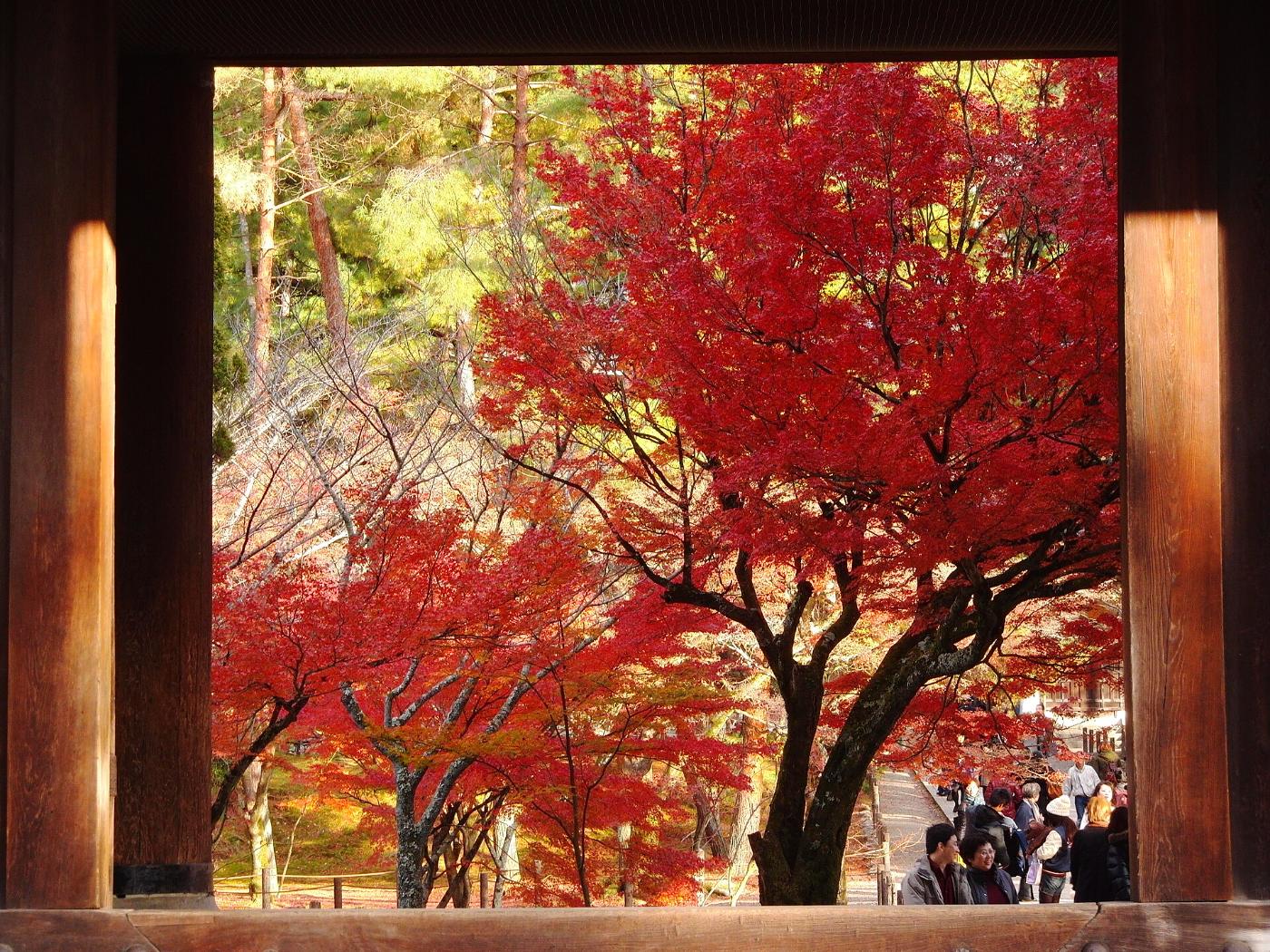Autumn leaves at Nanzen-ji Temple, Nanzenji Fukuchicho, Sakyo Ward, Kyoto