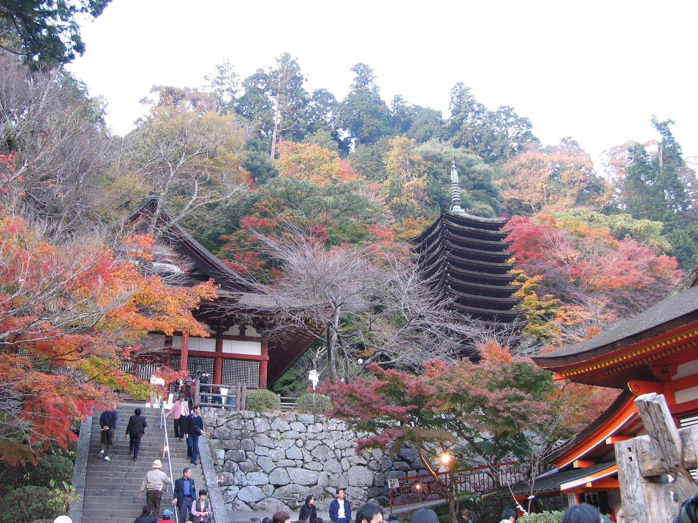 Autumn leaves at Tanzan Shrine, 319 Tonomine, Sakurai, Nara