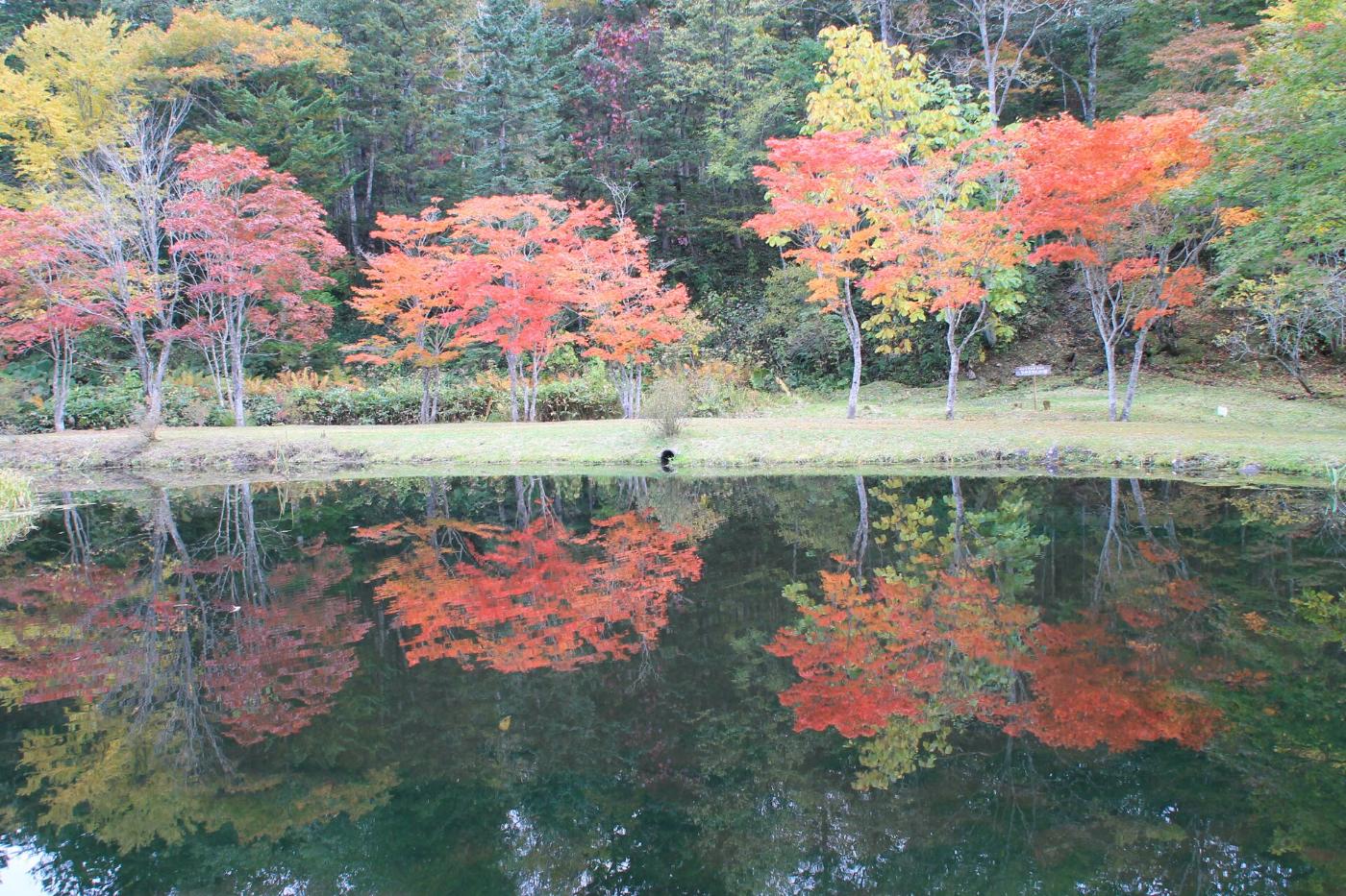 Autumn leaves at Fukuhara Sanso, Kita-Urimaku, Shikaoi, Kato District, Hokkaido
