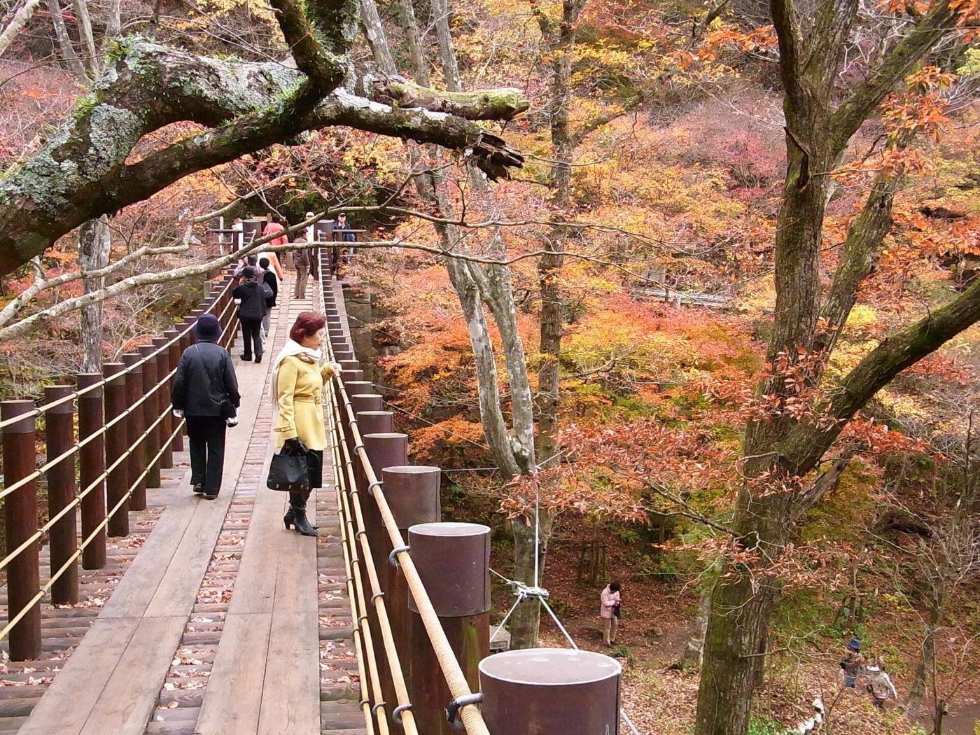 Autumn leaves at Hananuki Gorge, Takahagi, Ibaraki