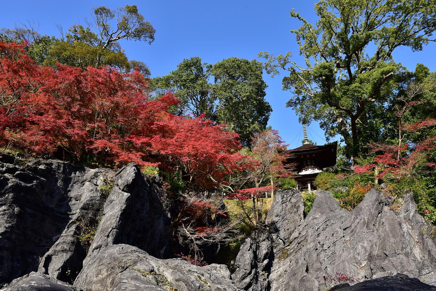 Autumn leaves at Ishiyama-dera Temple, 1-1-1 Ishiyamadera, Otsu, Shiga
