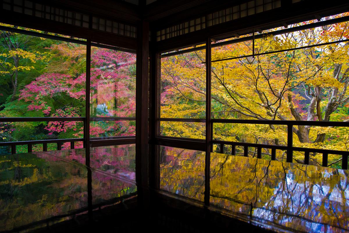 Autumn leaves at Ruriko-in Temple, Kamitakano Higashiyama, Sakyo Ward, Kyoto