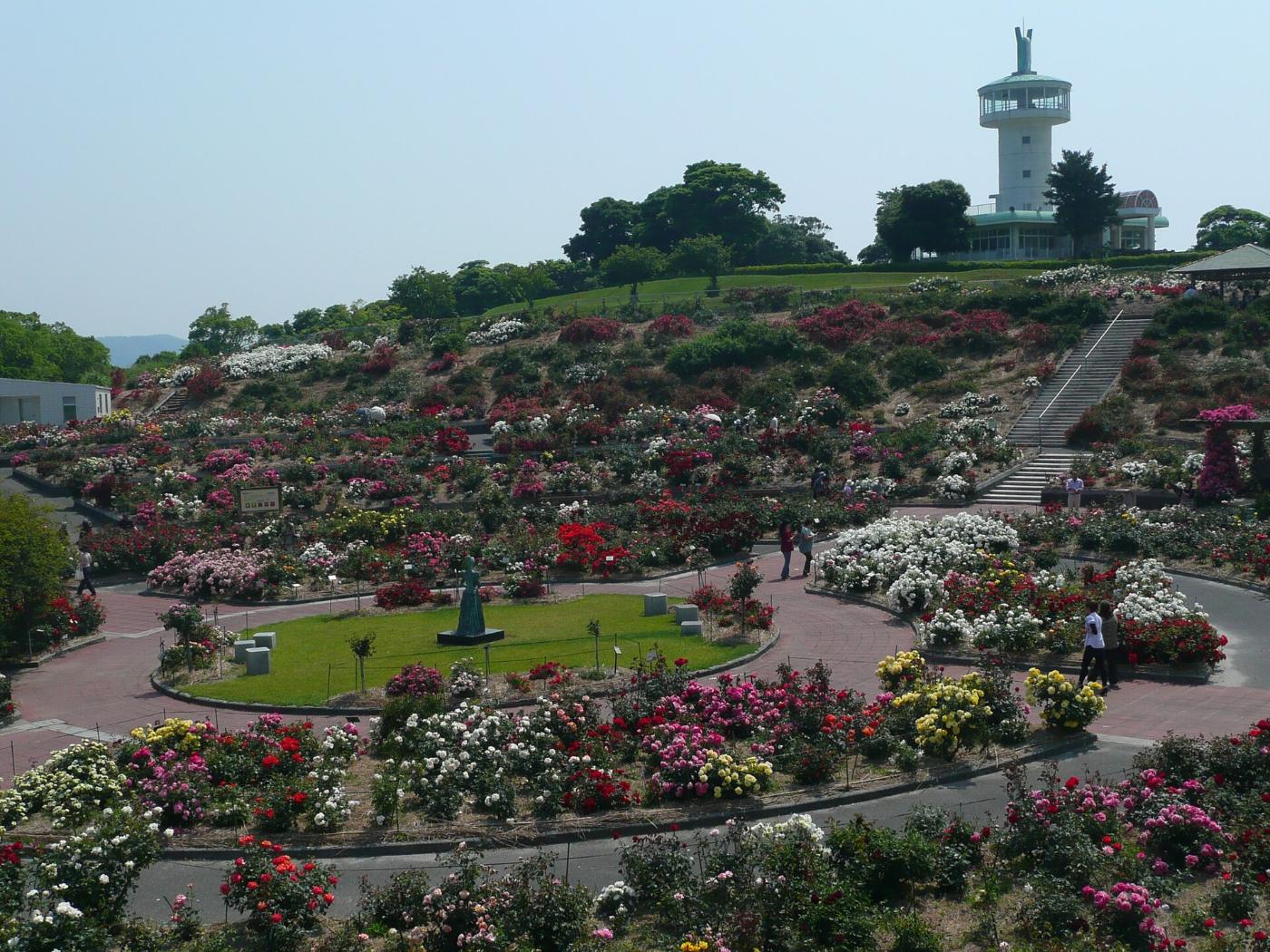 Roses at Kanoya Rose Garden, 1250 Hamada-cho, Kanoya, Kagoshima