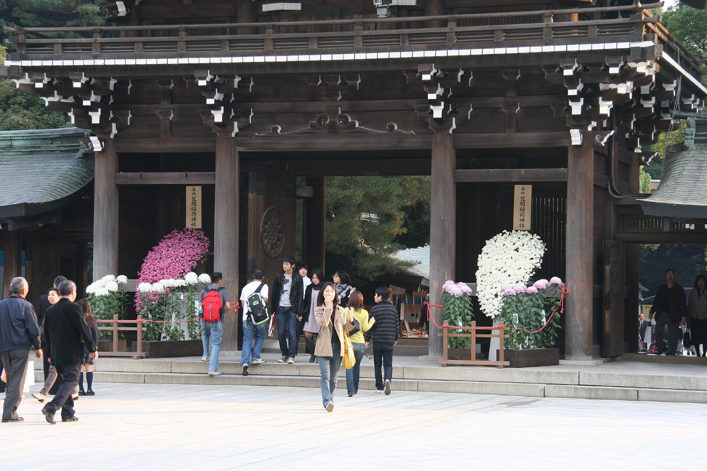 Chrysanthemum at Kasama Inari Shrine Chrysanthemum Festival, 1 Kasama, Kasama, Ibaraki