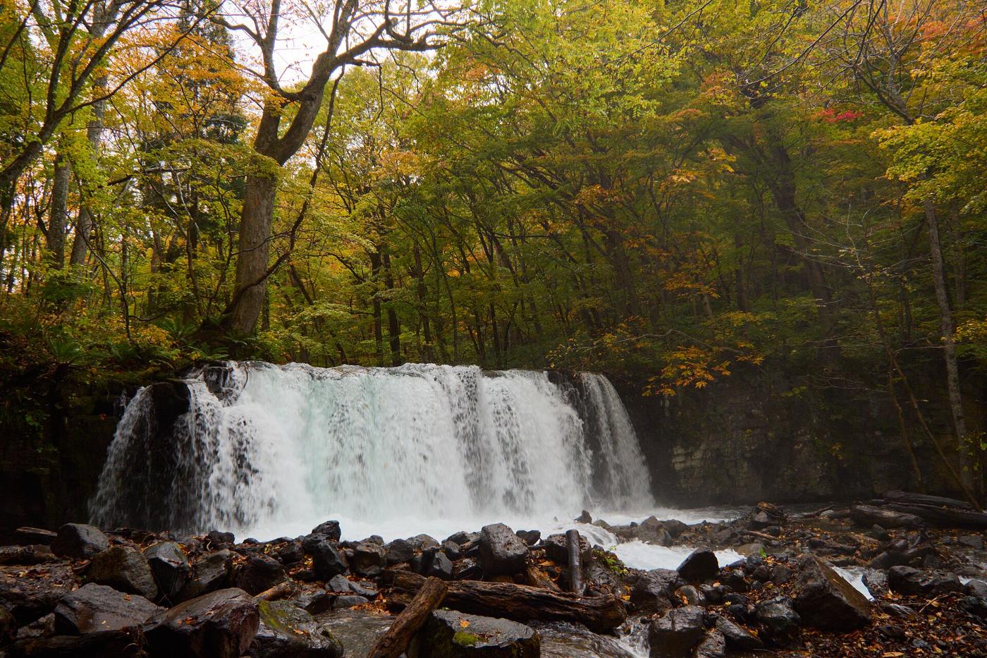 Autumn leaves at Oirase Gorge, Okuse, Towada, Aomori