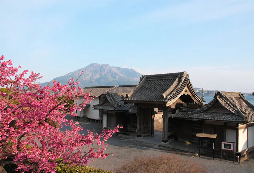 Cherry blossom at Sengan-en (Kagoshima), 9700-1 Yoshino-cho, Kagoshima City, Kagoshima