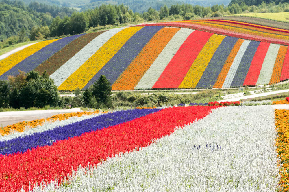 Mixed gardens at Shikisai-no-Oka, 3 Shinsei, Biei, Hokkaido